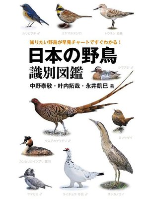 cover image of 日本の野鳥識別図鑑: 本編
